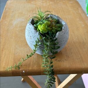 Gray Concrete Planter with Green Succulents